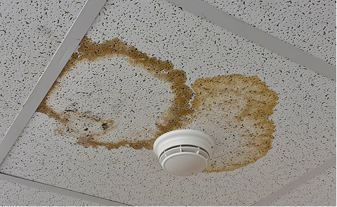 Ceiling Tile Repairs