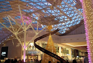 Shopping Center Chain
