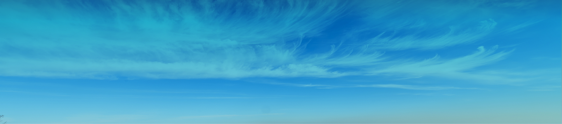 CTA Background